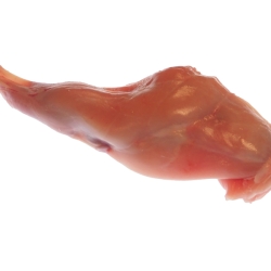 Cuisse de lapin
